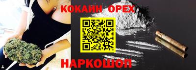 индика Заводоуковск
