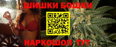индика Заводоуковск